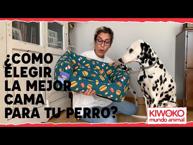 Vídeo relacionado con Nobleza Cama Perro Lavable, 67x57cm Cama para Perros Lavable con Antideslizantes con Relleno de Fibras Super Suave, Negro