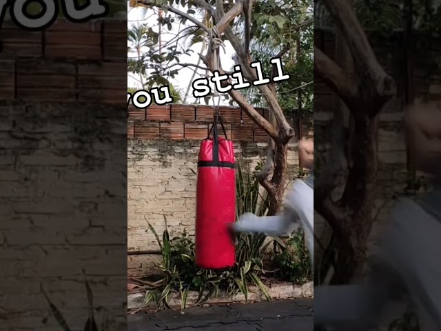 Vídeo relacionado con WXMYOZR Cinturón Negro Bordado Personalizado para Karate Artes Marciales Taekwondo Judo, Ancho 2 Pulgadas Taekwondo Cinturón Negro Personalizar Bordado,102in/260cm