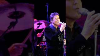 Donny Osmond,  The Long And Winding Road