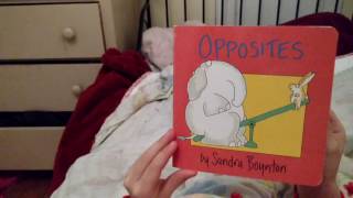 Opposites - Sandra Boynton