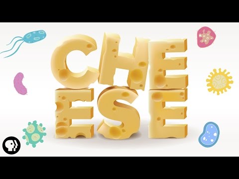 美味的起司是怎麼製成的？起司的科學 (The Delicious Science of CHEESE!)