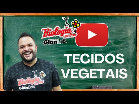 TECIDOS VEGETAIS (RESUMÃO)