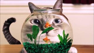 Aesop Rock - Cat Food [Instrumental] [Produced by Blockhead]