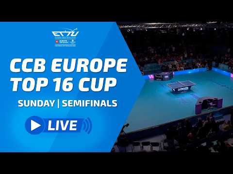 CCB EUROPE TOP 16 CUP LIVE | WOMENS FINAL | SABINE WINTER vs BERNADETTE SZOCS
