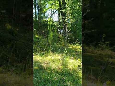 This was the ling hike to Huber lake.  We didnt see a soul.  It was an easy hike, but long. Thankfully we packed a lunch and enjoyed the solitude.