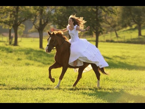 All the way || This was 2015!