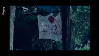 上海晚春2022