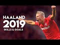 Erling Braut Haaland - Amazing Skills & Goals 2018/2019