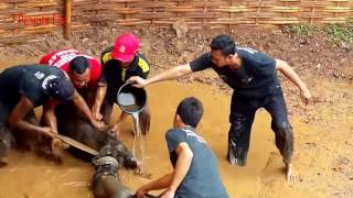 Download lagu Adu Bagong Gokil Abis Hancur Berantakan mp3 Download lagu Adu Bagong Gokil Abis Hancur Berantakan mp3