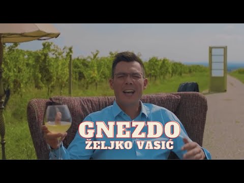 Željko Vasić -  Gnezdo (Official video 2018)