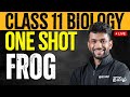 FROG - ONE SHOT | CLASS 11 BIOLOGY | NEET 2024 | Xylem NEET Tamil