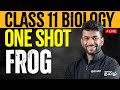 FROG ONE SHOT CLASS 11 BIOLOGY NEET 2024 Xylem NEET Tamil