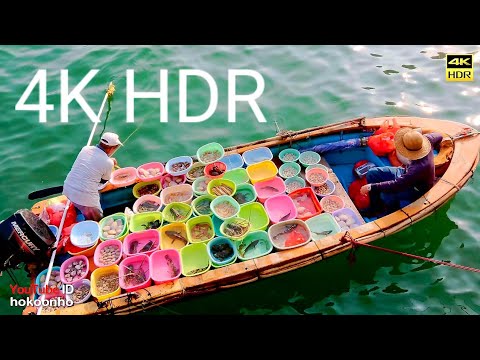 4K HDR Video Sample (Sai Kung) | Xperia XZ2 | HDR10 | Rec.2020 | 1000 nits