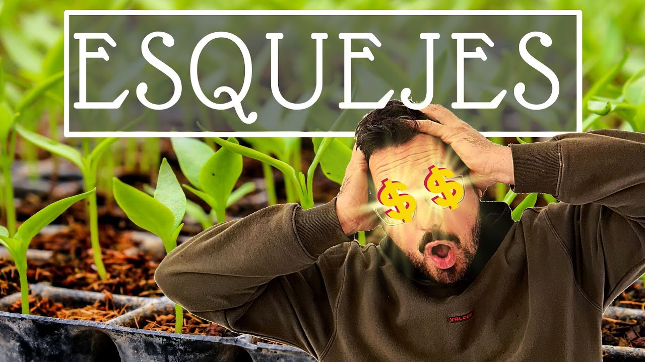 Multiplica tus plantas GRATIS‼️🌱🌼