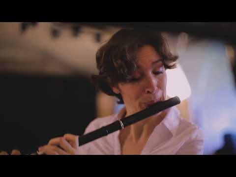 Bach Inspiration // Suite No.2, BWV 1067: Badinerie I