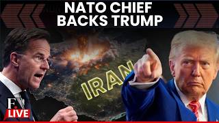 US Iran War: NATO's Rutte Tells Allies Trump Wants Hormuz Pledges Within Days | Firstpost