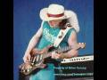 Stevie Ray Vaughan - Taxman & Honey Bee