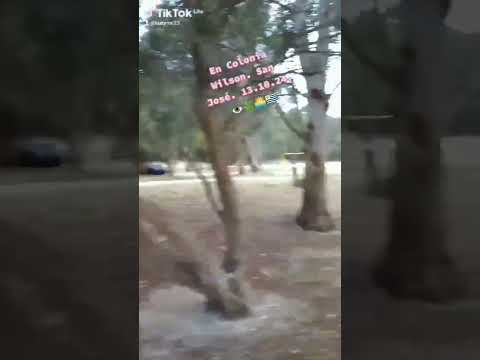 En Colonia Wilson. San José. 13.10.24.👁️🍀🌅🇺🇾