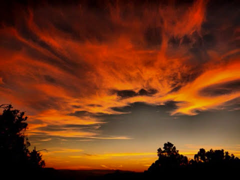 Feel Your Love - Playmen Alceen Feat. Mia (Consoul Trainin Remix)