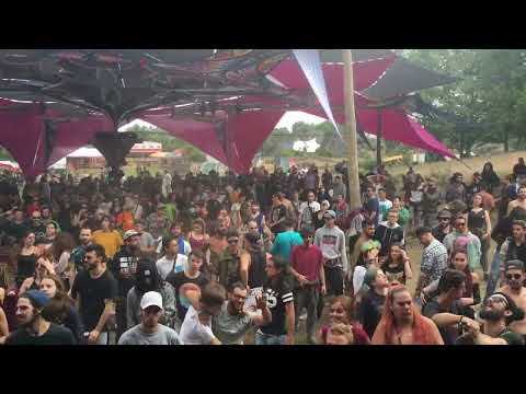 Alienn - Should Be Fun  Infected Guitars 6-7-2019