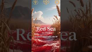 Curiosidades Sobre o Livro do Êxodo. #shorts #bíblia #curiosidades