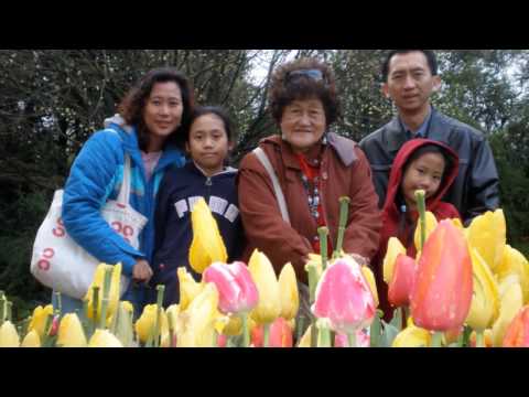 母亲八十大寿 - 郑莲花