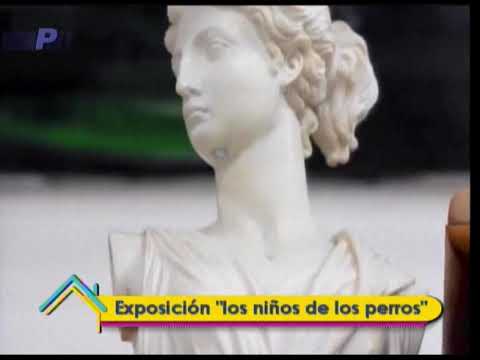 Ser Mejores: Exposición los niños de los perros