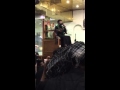 Ali Safdar Hussain Al Gareeb At Karbala