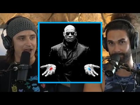 Leo & Danny on Taking the Blue Pill and the "Bozo Brigade" | LDS