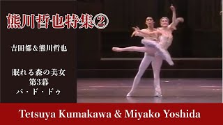 Download lagu 【人間国宝】熊川哲也特集②吉田都さんとの眠れる森の美女第３幕パ・ド・ドゥ| Best of Tetsuya Kumakawa(with Miyako Yoshida) mp3