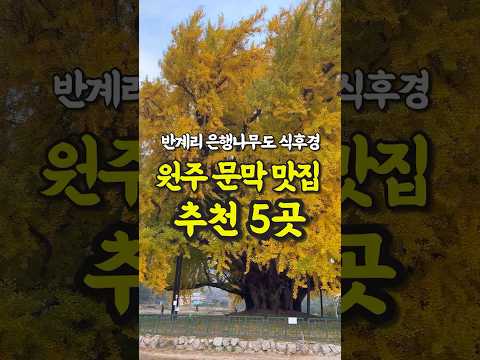 현지인이 추천하는 원주 문막 찐맛집 5곳 영상 썸네일