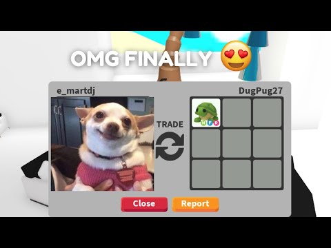 Trading a Mega Lynx for a Neon Turtle in Adopt Me Roblox (Amazing Trade 🤩)