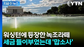 트럼프 "파란색 성조기" 호언장담했는데…당황스러운 색상 등장 [지금이뉴스] / YTN