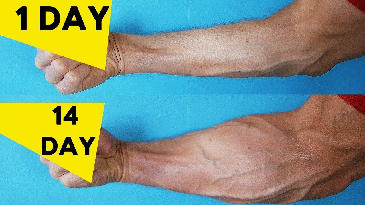 6 Forearm Exercises That Make Your Arms Look Powerful (No Gym Needed)