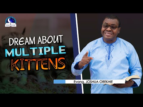 Dreams About Multiple Kittens - Biblical and Spiritual Meaning