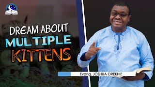 Dreams About Multiple Kittens - Biblical and Spiritual Meaning