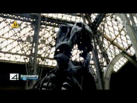 Smoki - Urzeczywistniona Fantazja (lektor pl) 1/10