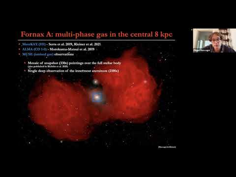 Filippo Maccagni (Kapteyn Astronomical Institute)