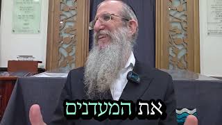 מה עם הקורקבן שלך ?...