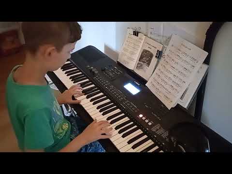 Tři čuníci - Jaromír Nohavica