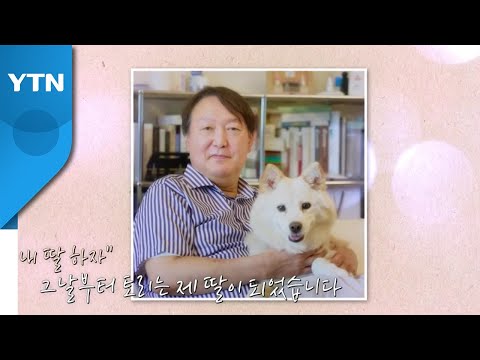 아이콘