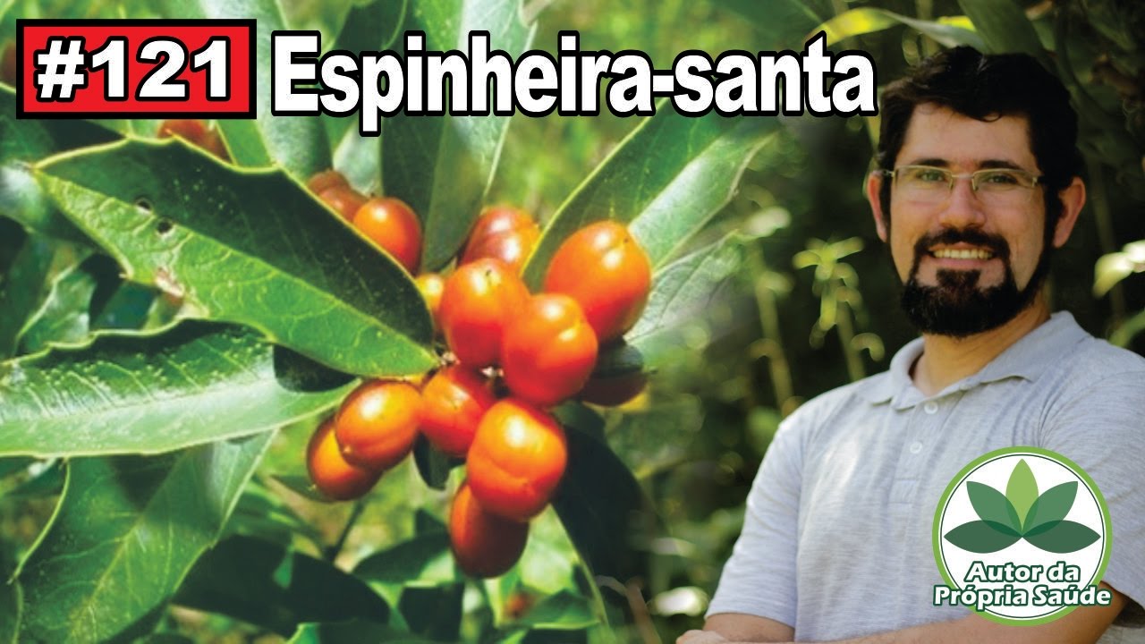 Autor da Própria Saúde  Espinheira-santa [gastrite, úlcera, diurético, hipertensão]