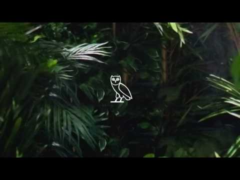 Drake   Same Mistakes Fall For Your Type