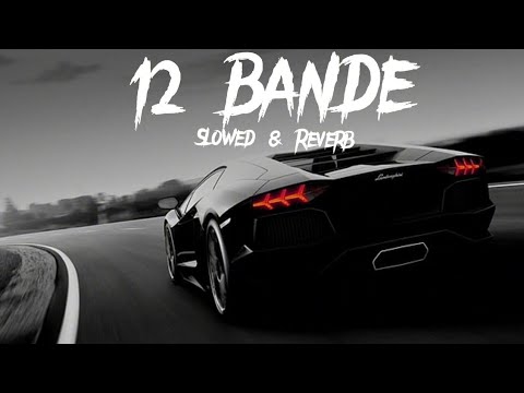 12 Bande (Slowed & Reverb) - Varinder Brar