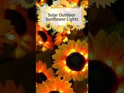 Solar Led Lawn Light