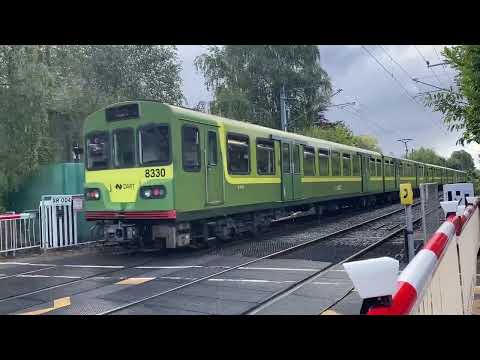 Sydney Parade Level Crossing & Station- DART Trains