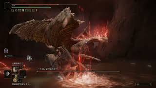 [法環] DLC 到底誰跟我說獵龍大刀沒用= =