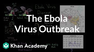 Understanding the Ebola virus outbreak | Heatlh & Medicine | Khan Academy