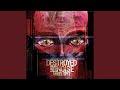 Destroyed With Noise