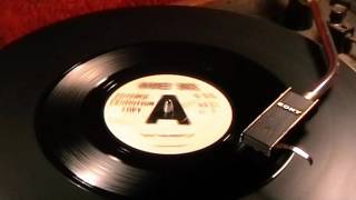 Gary Sanders - Ain't No Beatle - 1965 45rpm